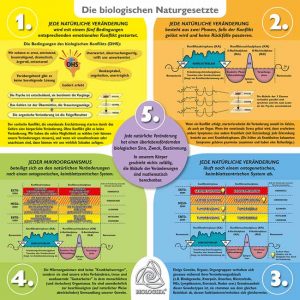 Eine detaillierte Erklärung der fünf biologischen Naturgesetze.